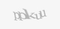 Қорғаныс коды